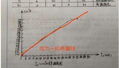 AI优化报告